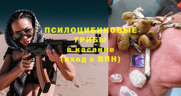 apvp Богданович