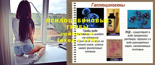 apvp Богданович