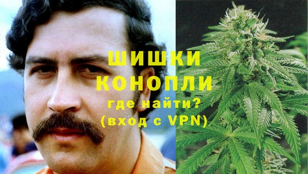 apvp Богданович