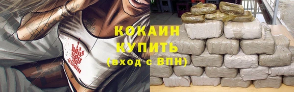 apvp Богданович